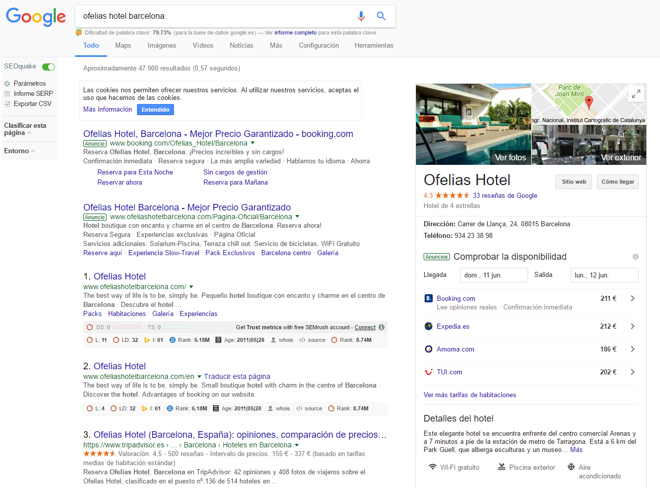 SEO Google hoteles